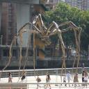 Enorme spin 'Mamam' van Louise Bourgeois buiten het museum